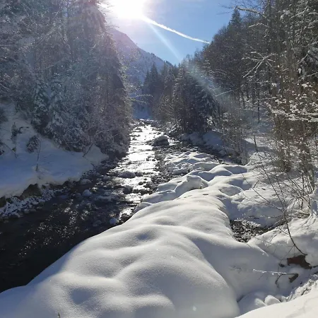 Walser Apartamento *